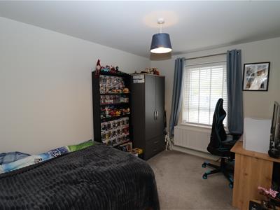 Picture 15